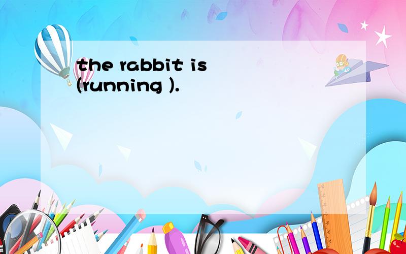 the rabbit is (running ).