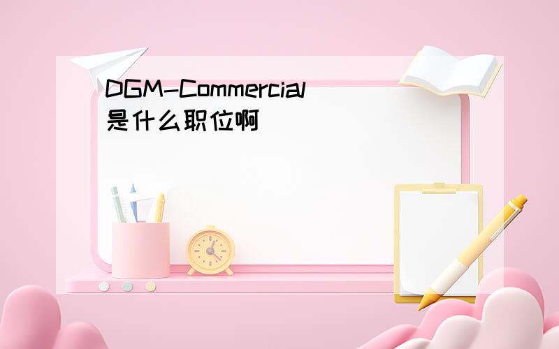 DGM-Commercial是什么职位啊