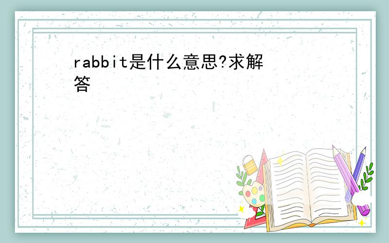 rabbit是什么意思?求解答