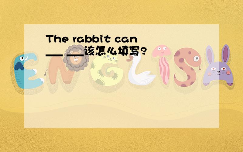 The rabbit can___ ___该怎么填写?