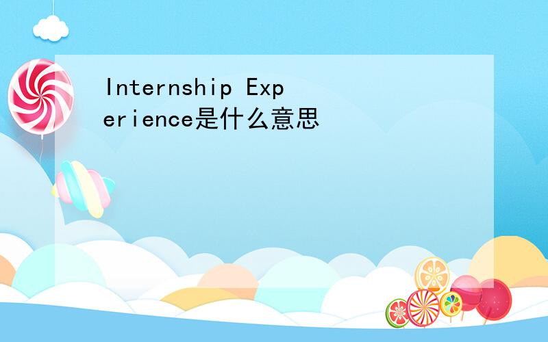 Internship Experience是什么意思