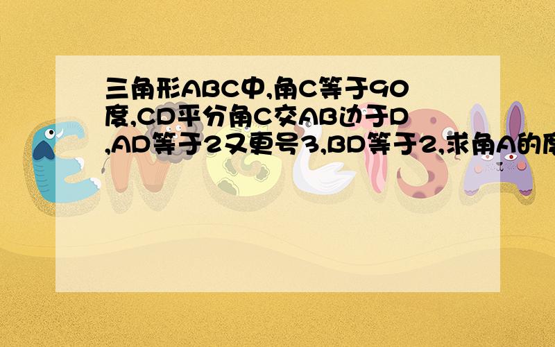 三角形ABC中,角C等于90度,CD平分角C交AB边于D,AD等于2又更号3,BD等于2,求角A的度数和AC的长.