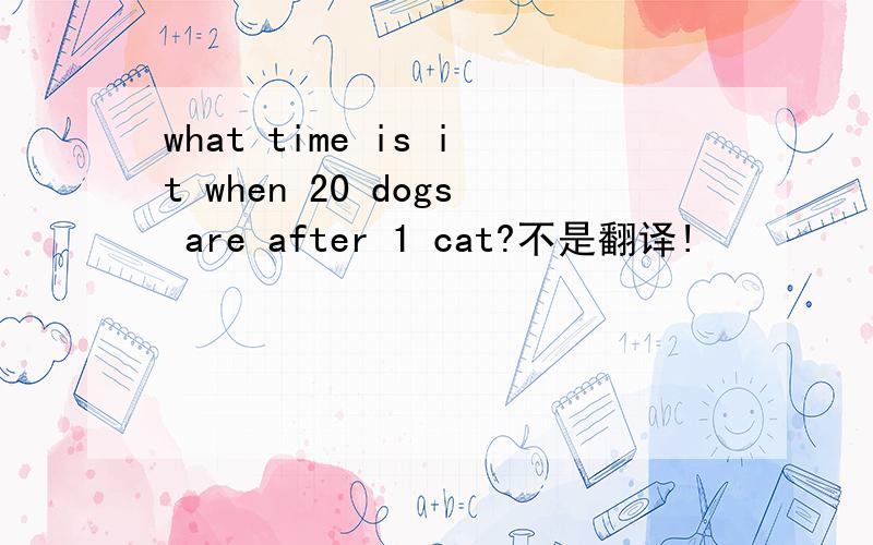 what time is it when 20 dogs are after 1 cat?不是翻译!