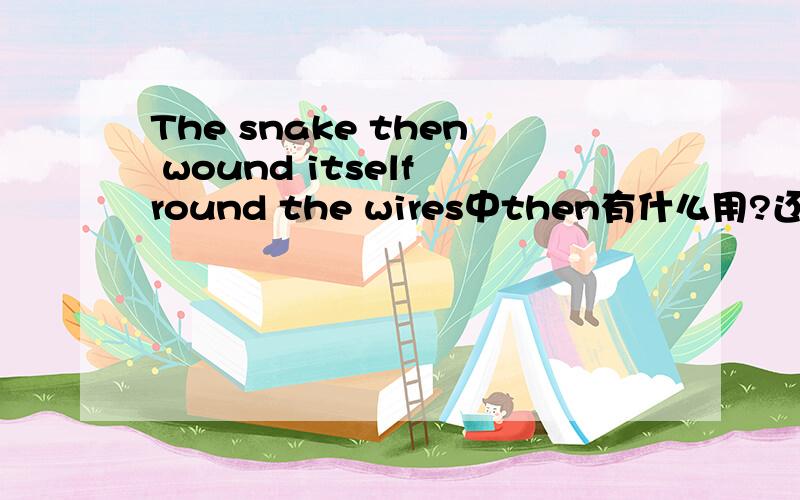 The snake then wound itself round the wires中then有什么用?还有itself为什么在wound的后面?