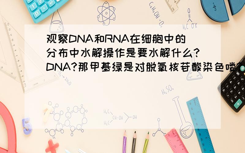 观察DNA和RNA在细胞中的分布中水解操作是要水解什么?DNA?那甲基绿是对脱氧核苷酸染色喽?