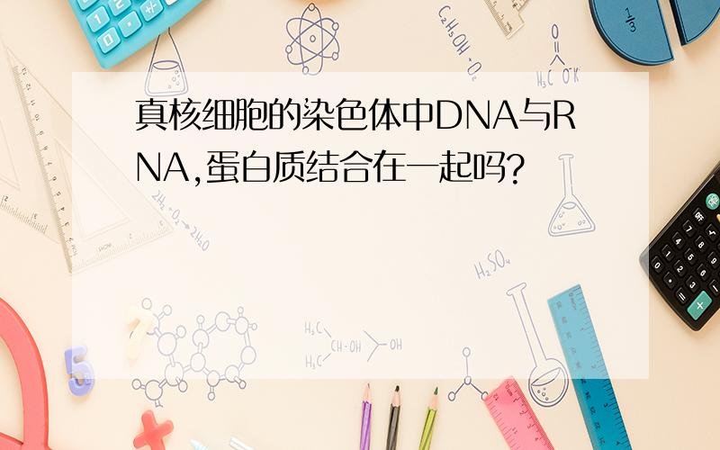 真核细胞的染色体中DNA与RNA,蛋白质结合在一起吗?
