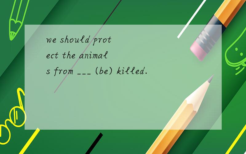 we should protect the animals from ___ (be) killed.