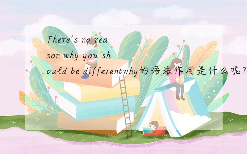 There's no reason why you should be differentwhy的语法作用是什么呢?