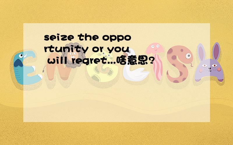 seize the opportunity or you will regret...啥意思?